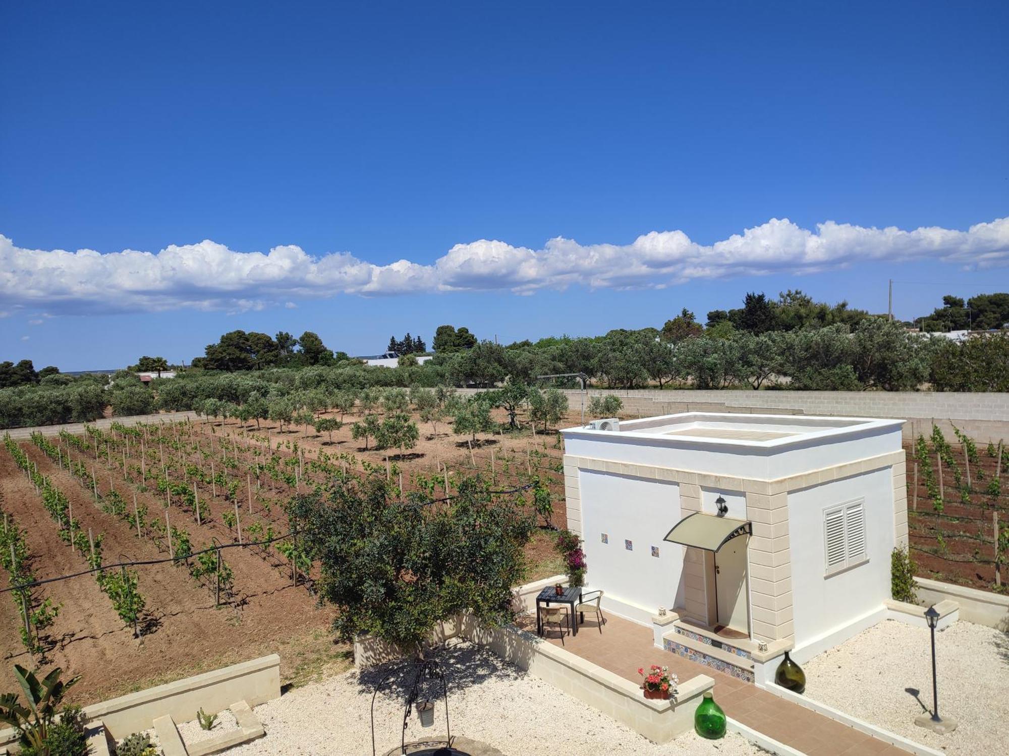 Le Anfore Del Salento Bed And Breakfast Marina di Lizzano Eksteriør bilde