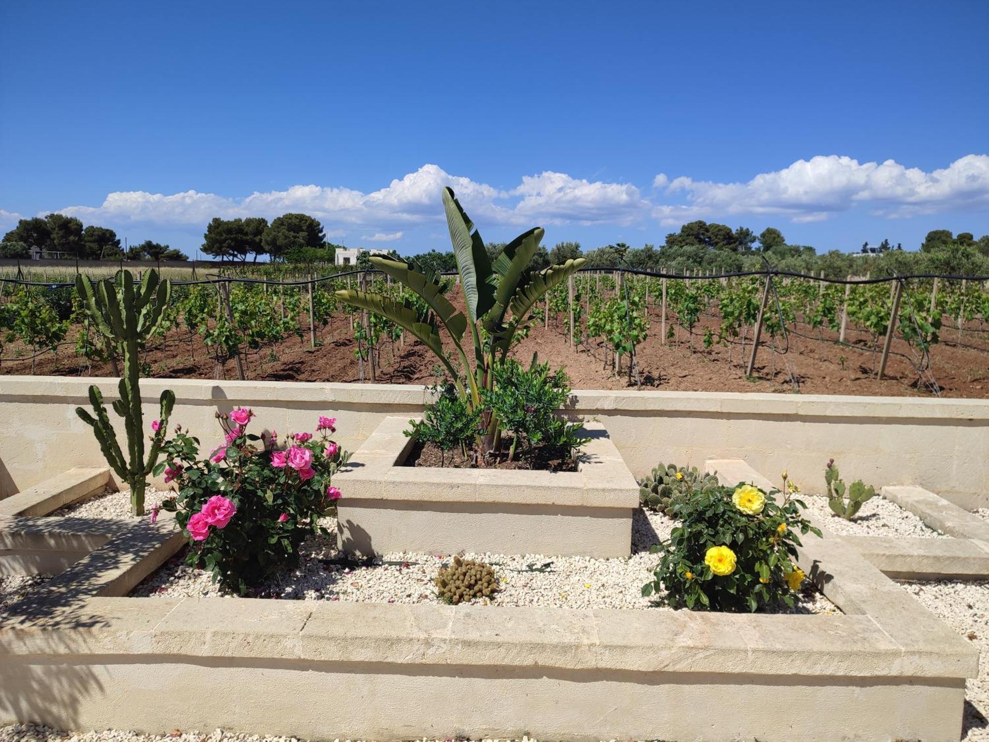 Le Anfore Del Salento Bed And Breakfast Marina di Lizzano Eksteriør bilde